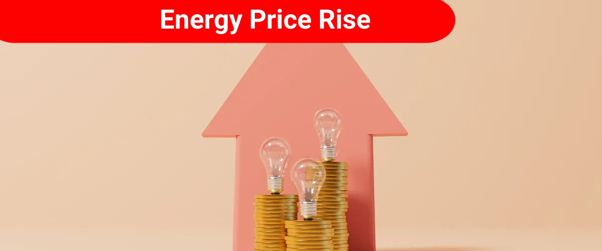 Energy Price Rise Spurs Energy Efficiency Improvements